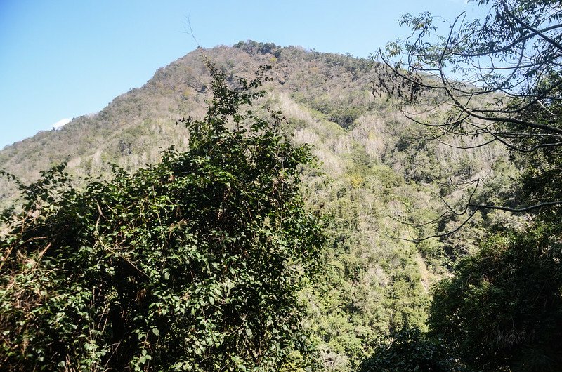 久久巢山徑東北望螺婆間山前山頭