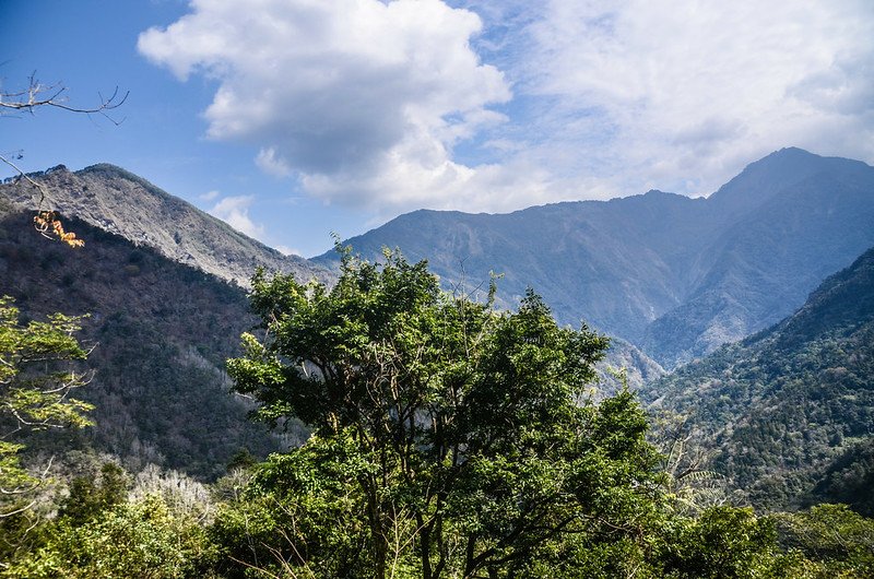 久久巢山徑(H 1020 m)東北望螺婆間山、三來稜山及三來稜山~干卓萬稜線