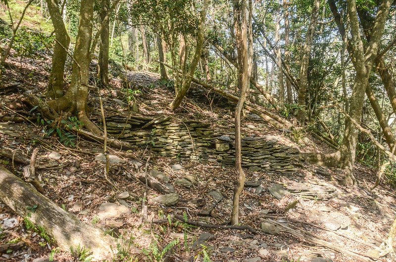 久久巢山砌石駁坎家屋遺址