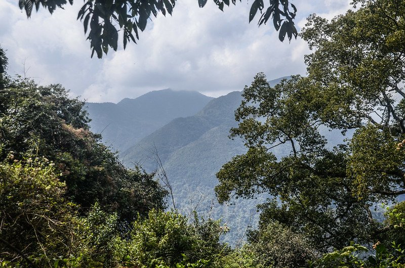 久久巢山稜線(H 1240 m)西望大尖山