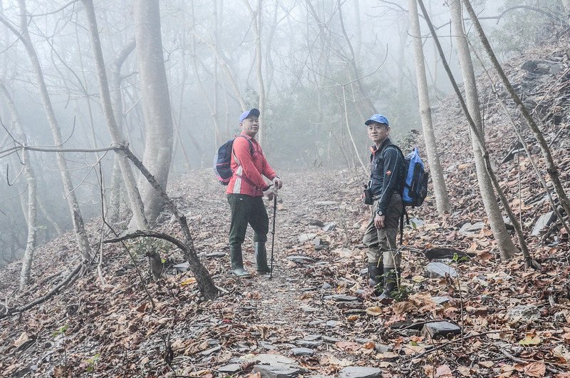 卡社山山坡林道山徑 (9)