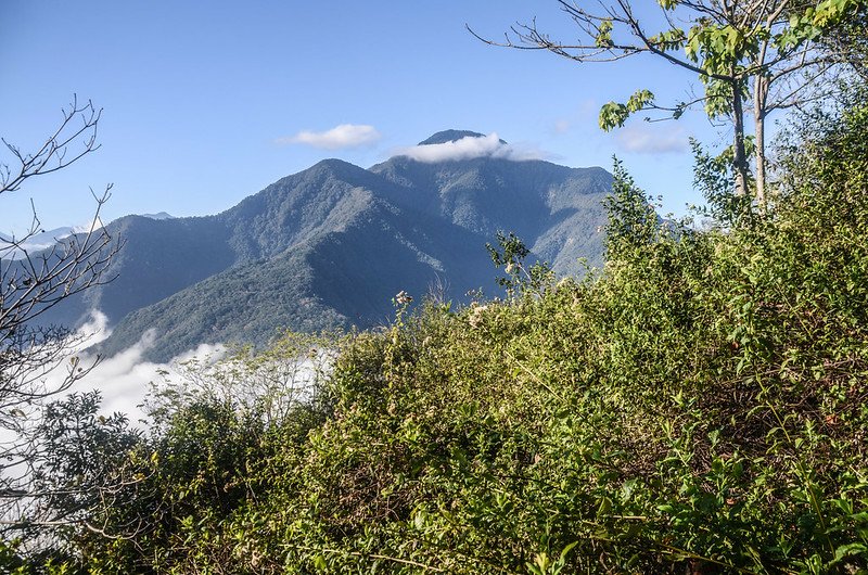 登卡社山山坡林道南面展望 (1)