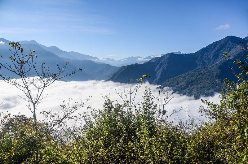 登卡社山山坡林道南面展望 (8)