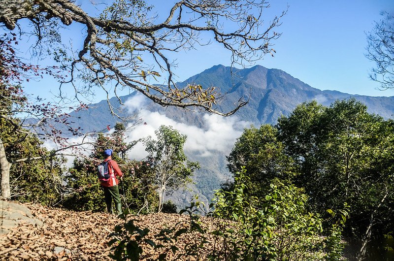 關門古道稜線東北望冠山、卓社大山 (9)