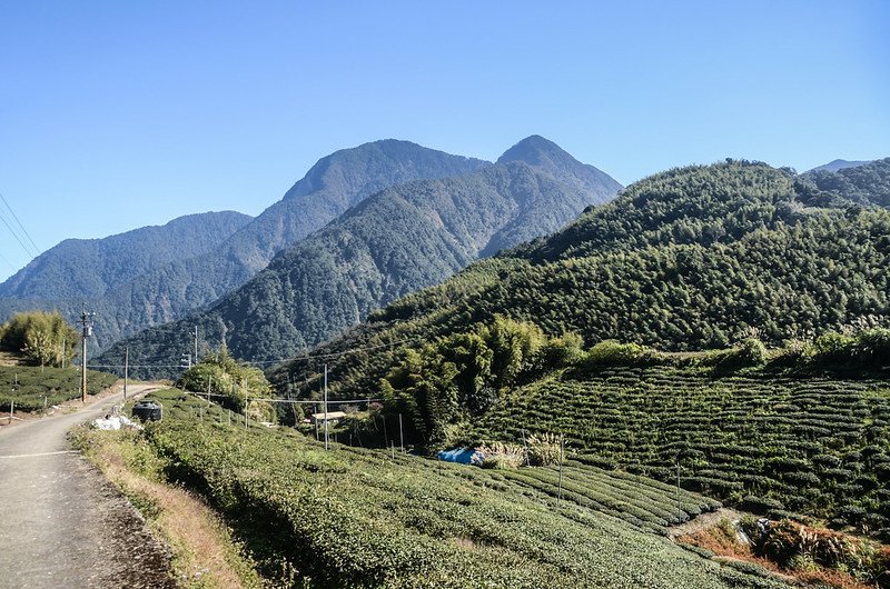 南雙龍產道最高點東南望治茆群峰