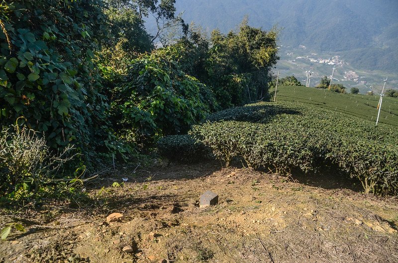 雙龍山三角補點點位