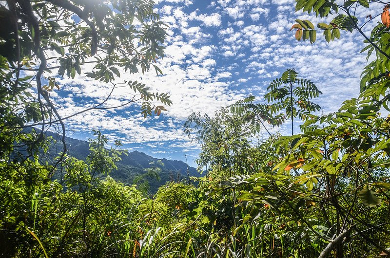 牛舌仔山頂東南望三腳南山~難山稜線 (2)