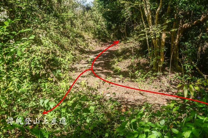 紅花園山水泥產道、廢產道岔路