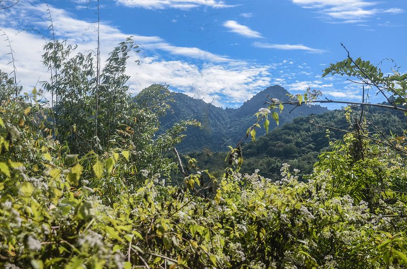 紅花園山廢產道東難忘三腳南山(R)