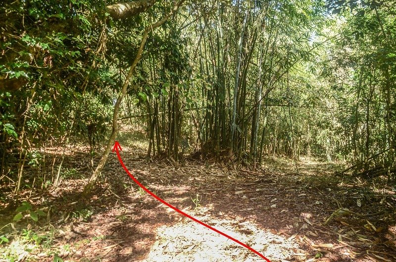 紅花園山產道切入點