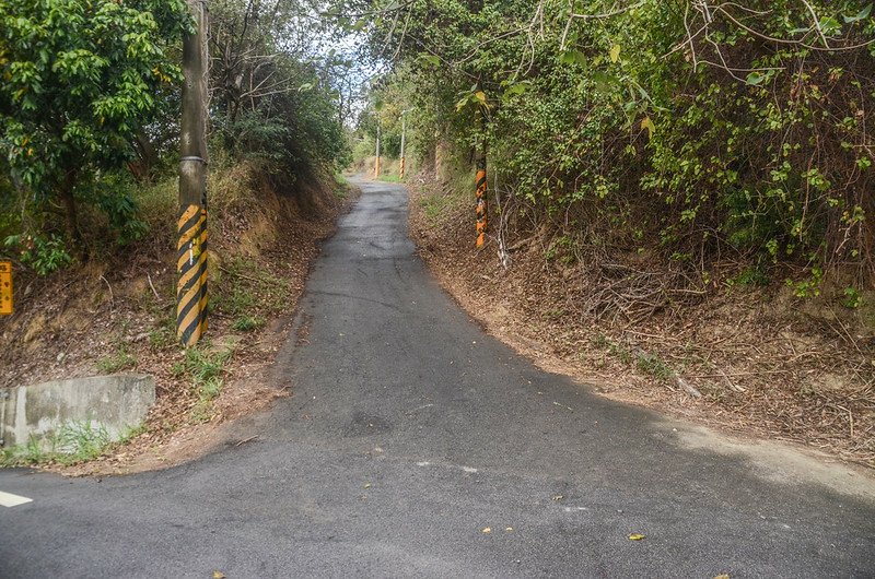 寶斗村(南山)登山口 2