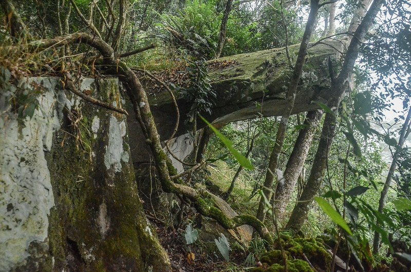 鞍輪名山徑巨岩 (1)