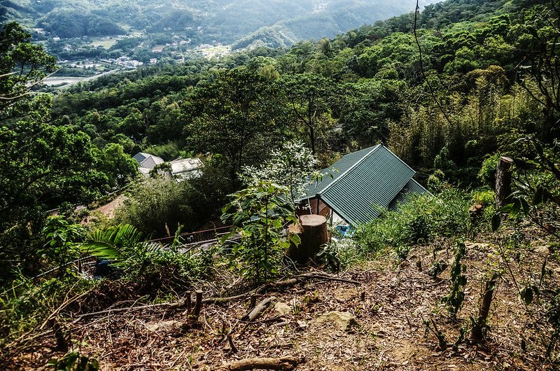 象、神稜線開發山坡地