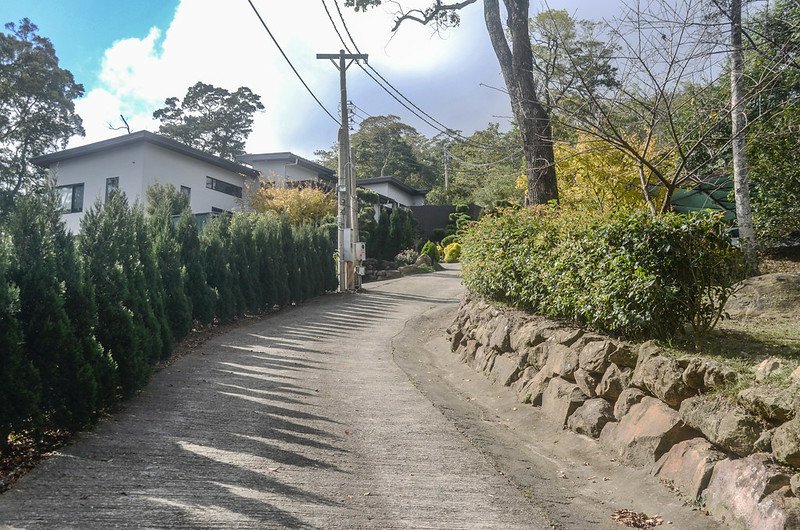 嶺秀登峰社區道路