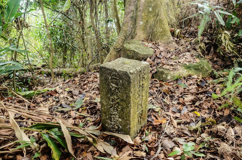 細湖頂山西南東興水庫水源保護區界(# 29 Elev. 547 m)