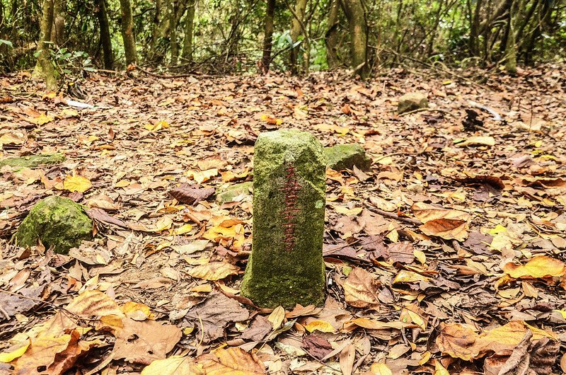 大屋坑山(神桌山北峰)鑛務課基石(# 521 Elev. 710 m)