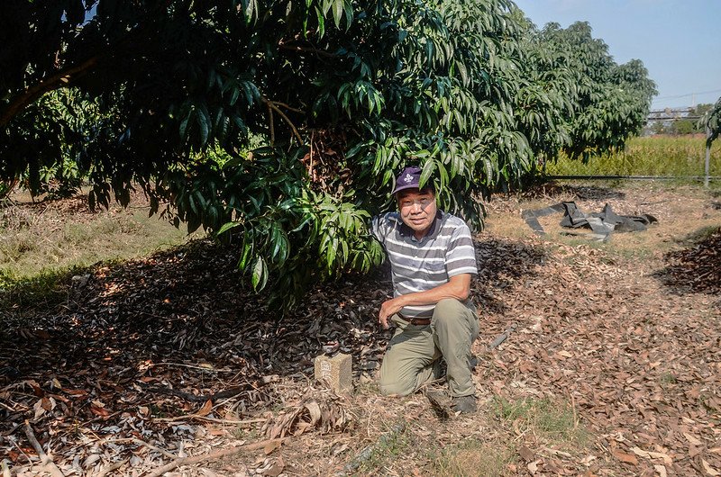 下茄荖土地調查局圖根點