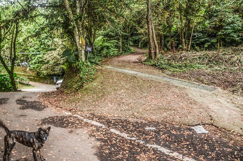 光天高山水泥路登山口