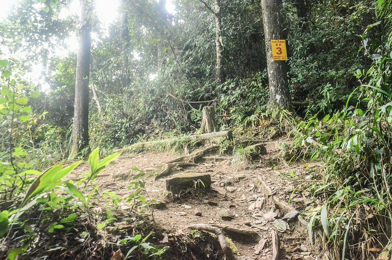 向天湖山北峰平台