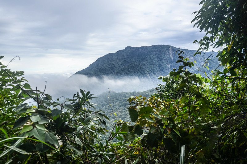 向天湖山北峰東北眺望鵝公髻山 (1)