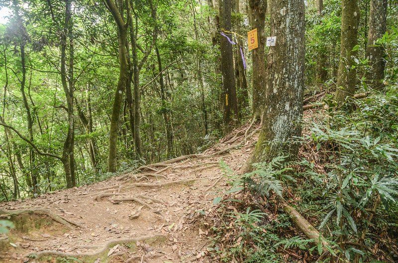 向天湖山主稜