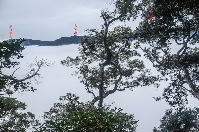 南大龜山稜線(H 1262 m)東南遠眺五峰天際線 1-1