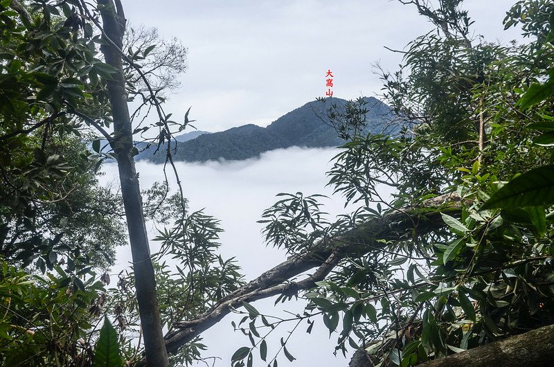 南大龜山稜線(H 1262 m)東南遠眺大窩山 1