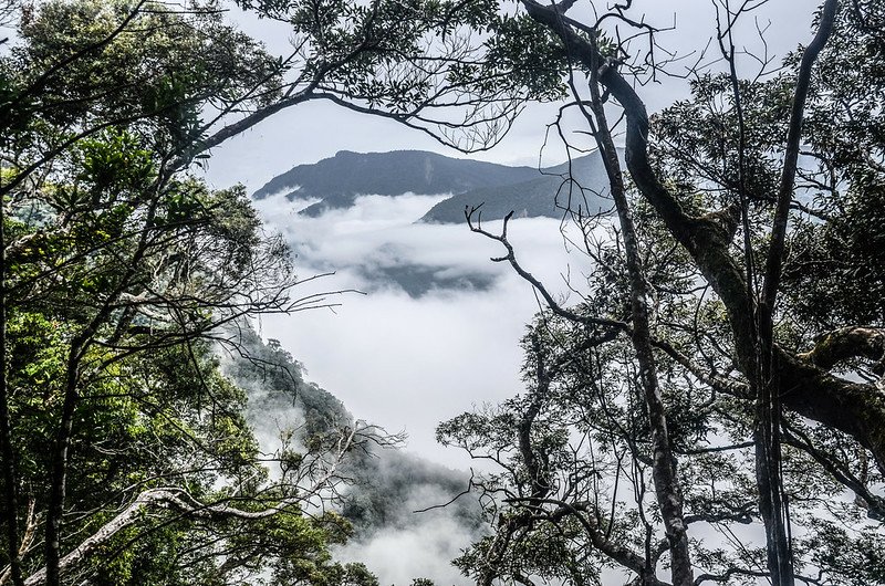 南大龜山稜線(H 1262 m)東南遠眺鵝公髻山