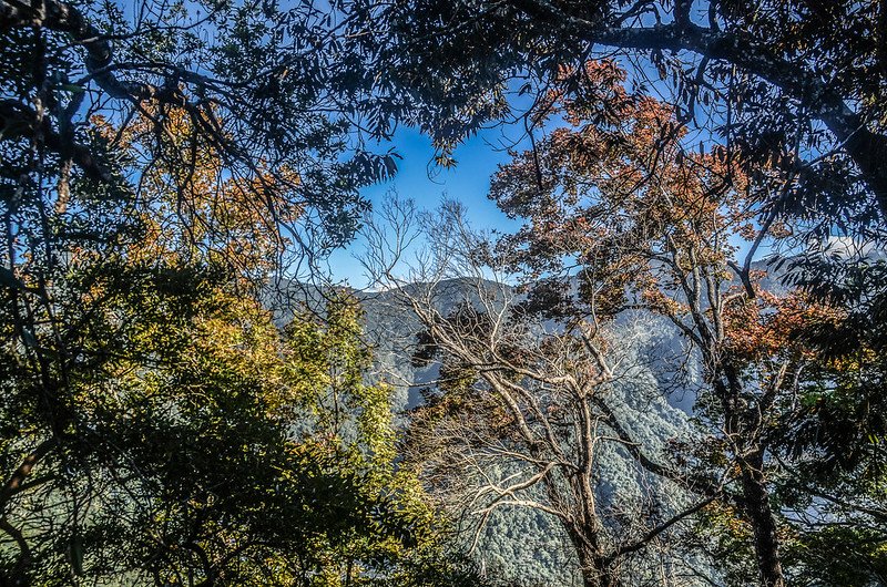 三角湖山山頂東跳鵝公髻~大窩山連稜