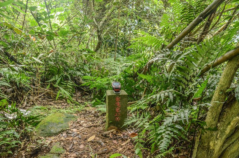 紅毛山台灣省政府圖根補點(Elev. 954 m) (1)
