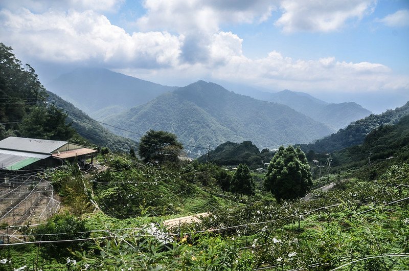 細道邦山1305峰登山口俯瞰大安溪谷