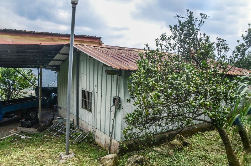 馬那邦山南峰第二座果園工寮