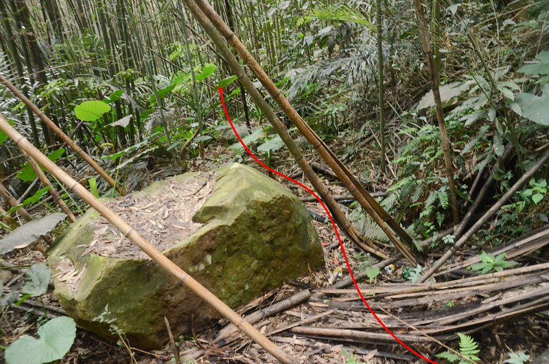 馬那邦山南峰廢產道山徑上切點