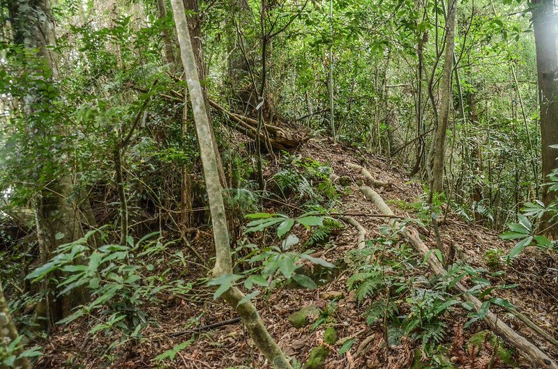 馬那邦山南峰主稜線