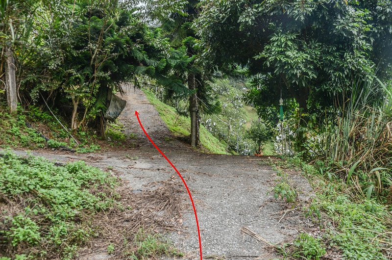 士林山北峰果園岔路