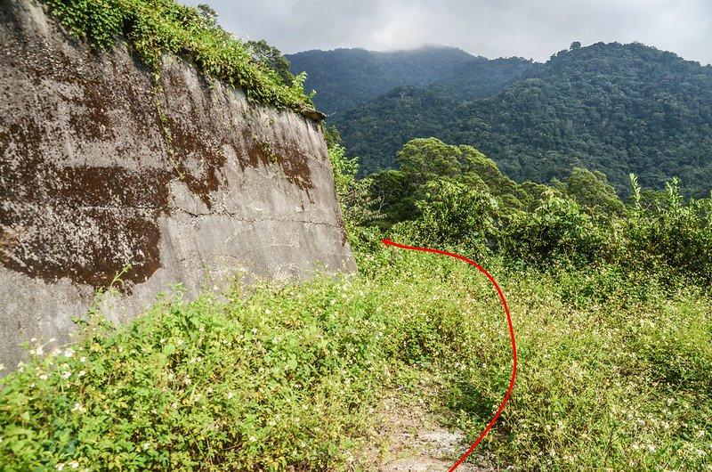 士林山廢果園登山口