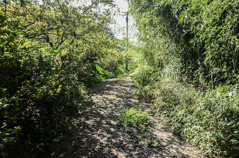 南勢山步道