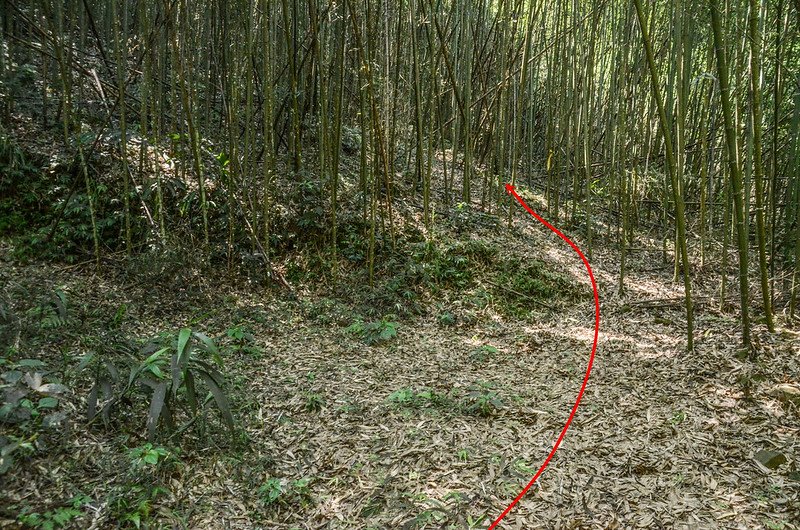 南勢山北峰土路右切竹林處