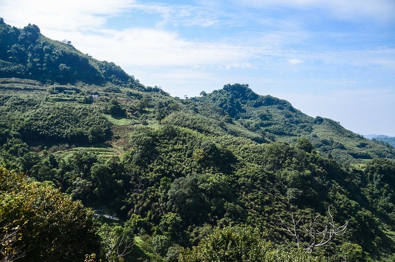 大坪產道觀景台西北望