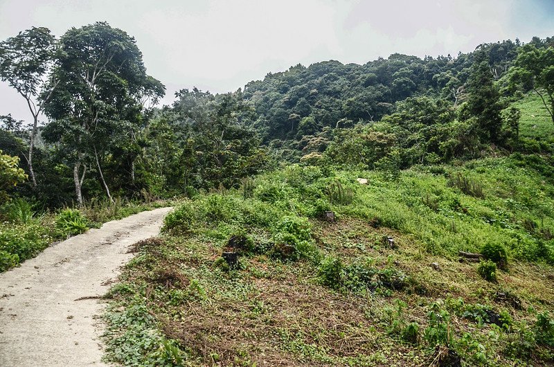 西橫龍山停車處望西橫龍山