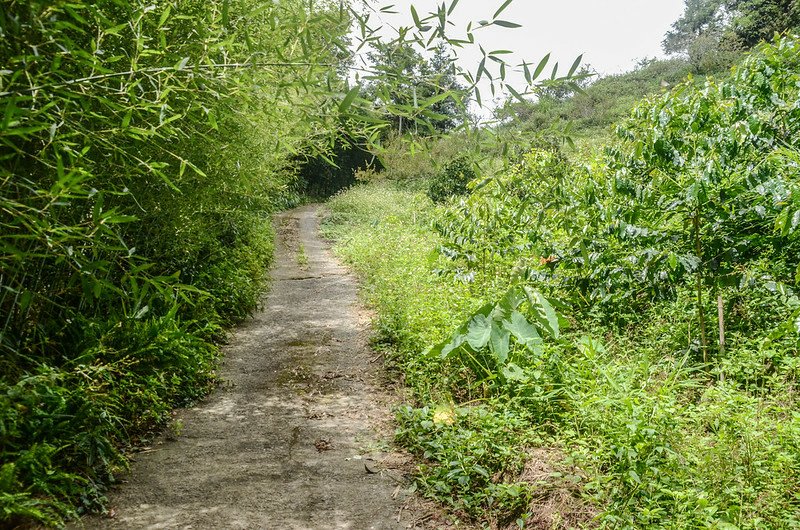 西砂埔鹿山登山步道