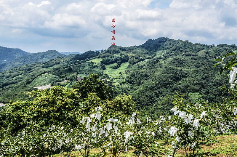 東砂埔鹿山西北望西砂埔鹿山_副本