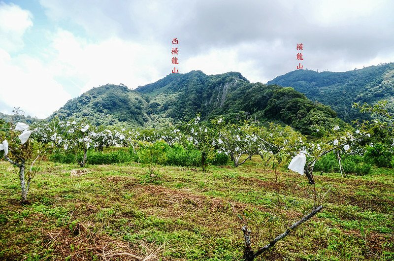 東砂埔鹿山東北眺群山 1-1