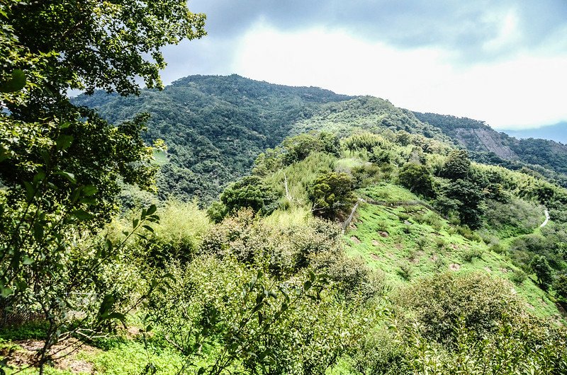 北砂埔鹿山東望西橫龍山