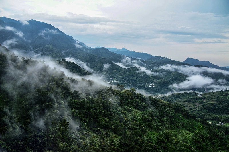 雨後的泰安山區 (2)