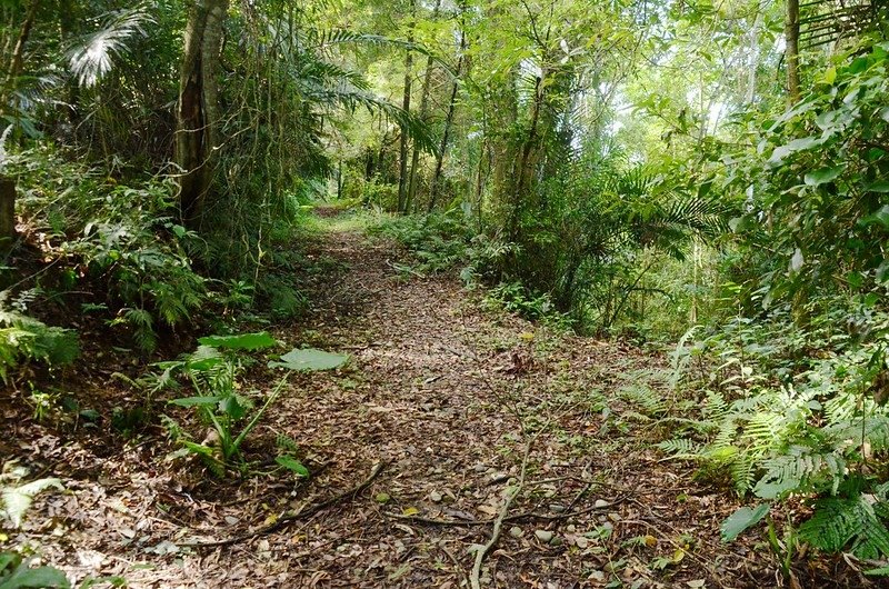 象山登山口土路