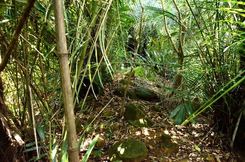 白布帆山稜線路徑