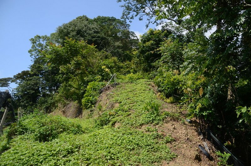 流壁下山果園上緣望基點峰