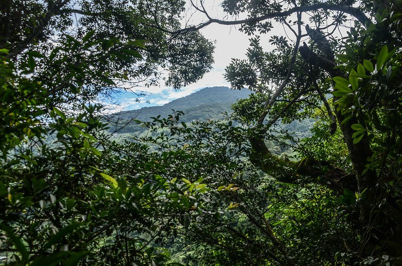 蘇魯山東峰登山途中(H 838 m)東北望馬那邦山