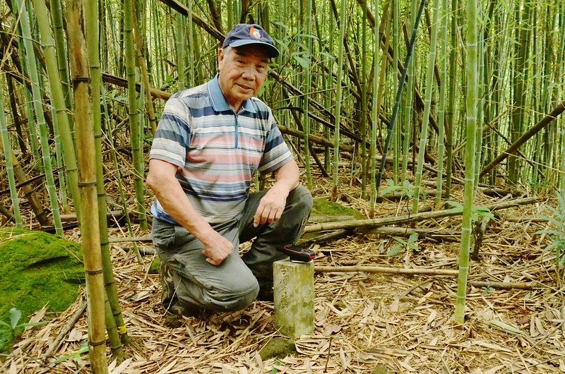 大坪林山(爽文山)山頂